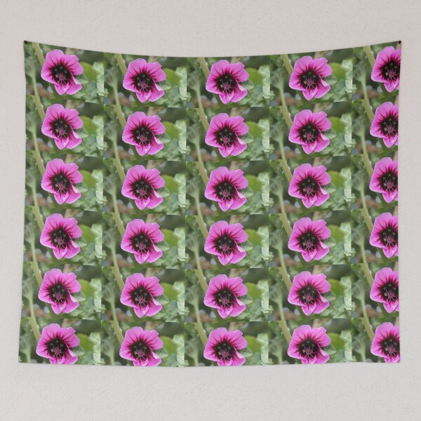 Item preview, Lavatera Clementii Rosea, Tree Mallow 2 designed and sold by dredfell.