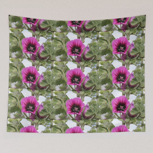 Item preview, Lavatera Clementii Rosea, Tree Mallow designed and sold by dredfell.