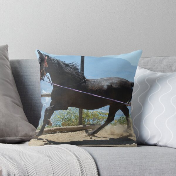 Item preview, Coco in the corral designed and sold by CaballoBlanco.