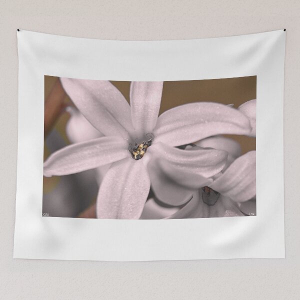 Item preview, Selected Coloring Hyacinthus designed and sold by LisaWootenPhoto.