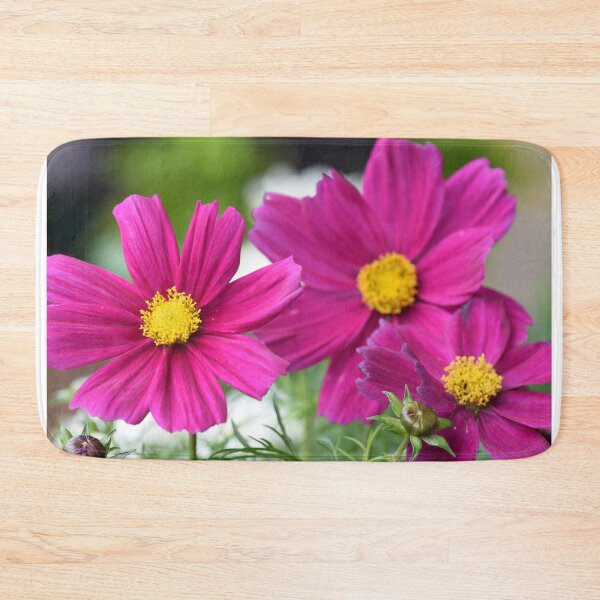 Item preview, Garden Cosmos or or Mexican aster designed and sold by santoshputhran.