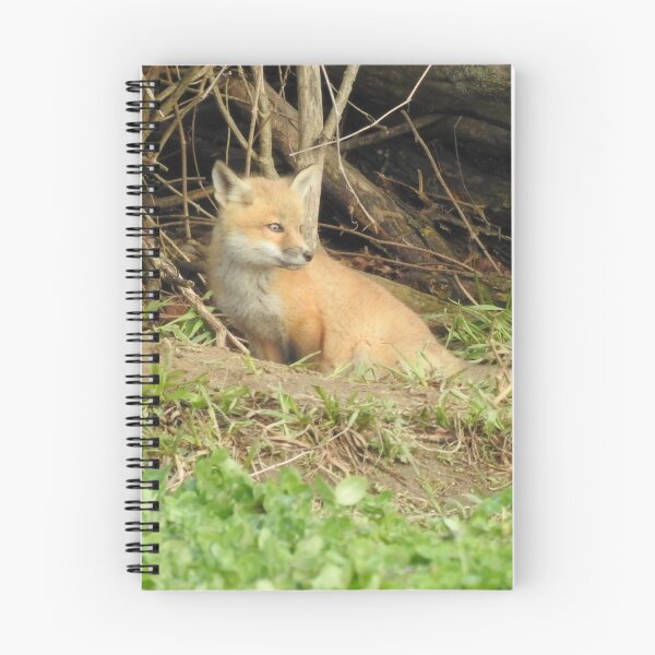 Artikelvorschau, Single Fox Kit entworfen und verkauft von GerryBuckel.