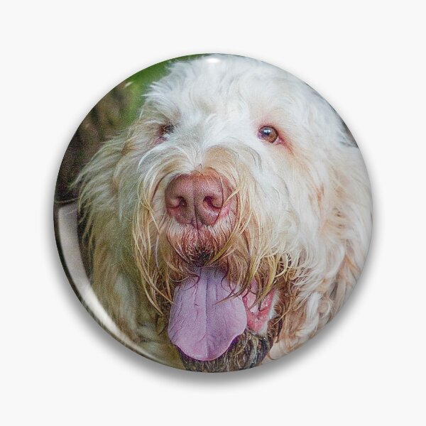 Item preview, Sitting with a tree Spinone designed and sold by FOLK ART FUSION by heidiannemorris.