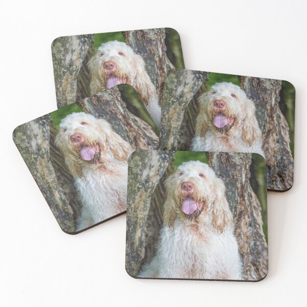 Item preview, Sitting with a tree Spinone designed and sold by FOLK ART FUSION by heidiannemorris.