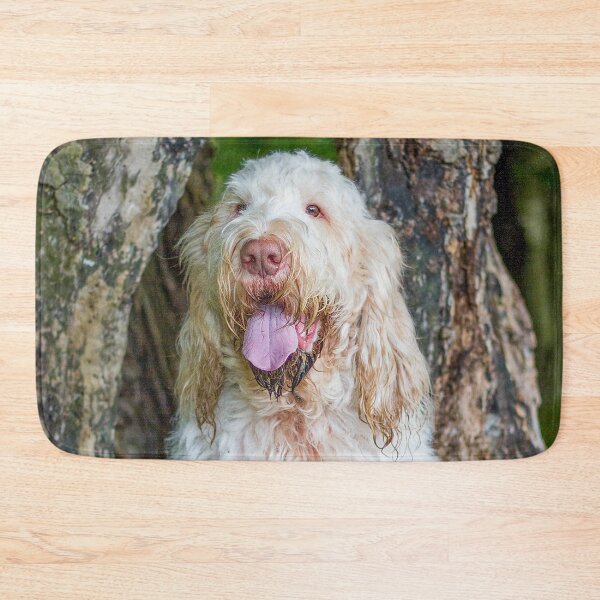 Item preview, Sitting with a tree Spinone designed and sold by FOLK ART FUSION by heidiannemorris.