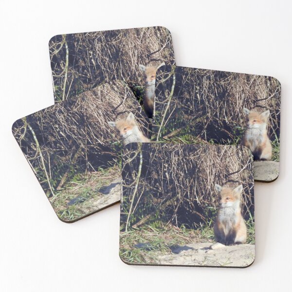 Item preview, Fox kit sitting pretty designed and sold by GerryBuckel.