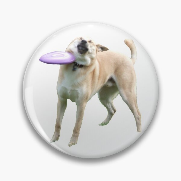 Item preview, Frisbee Doge designed and sold by Meme Economy.