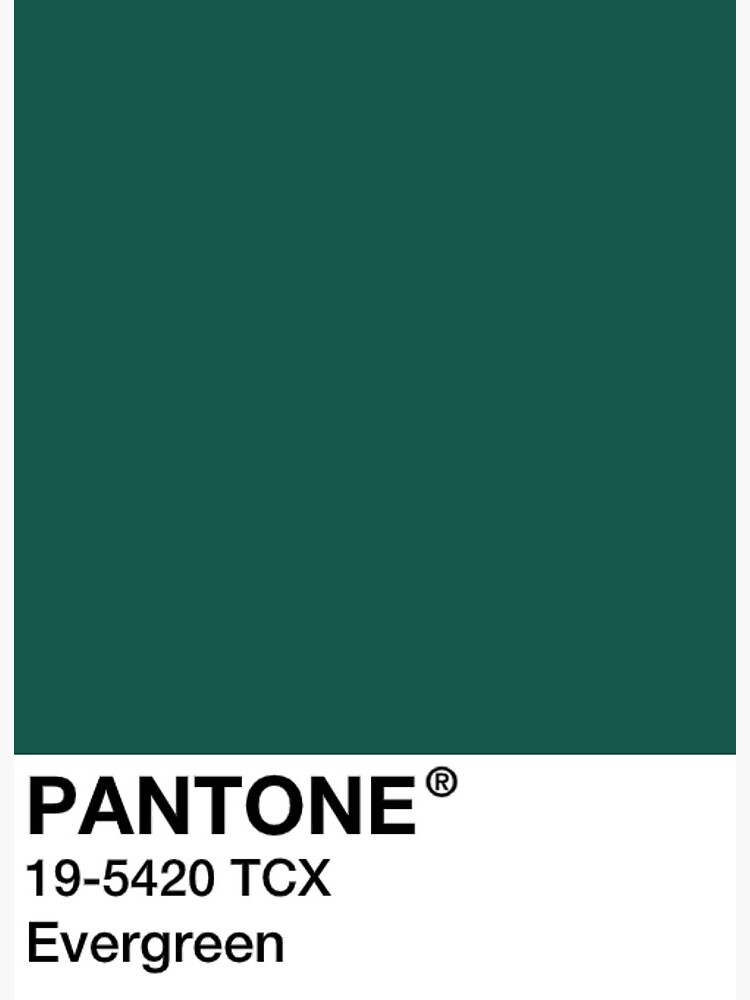 Pantone Evergreen Dark Green Art Board Print By Mushroom Gorge Redbubble