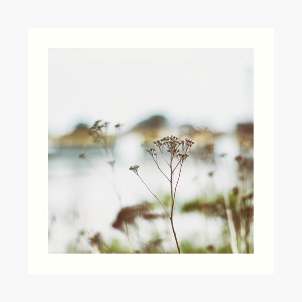 calm river Art Print