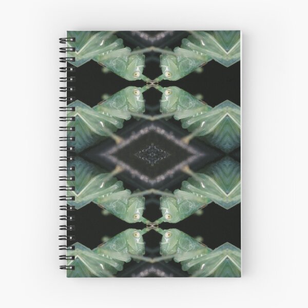 Item preview, Grasshopper Quadro designed and sold by RalfkLang.