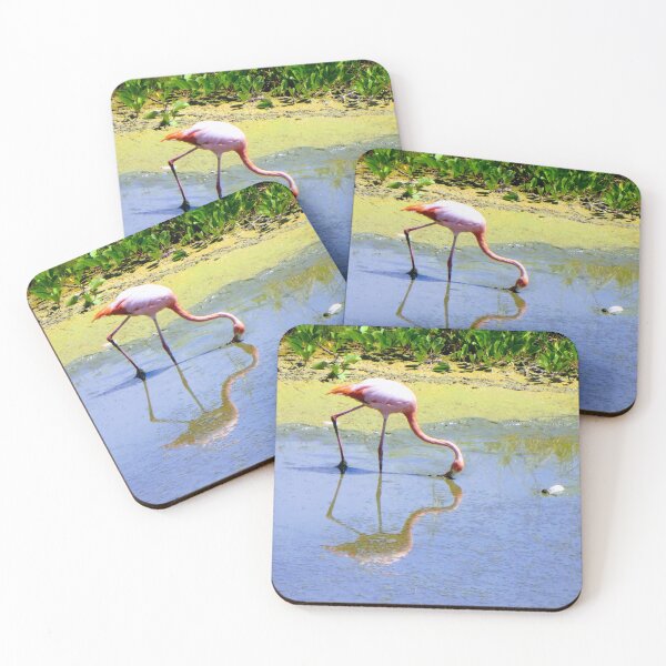 Item preview, Pink Flamingo in Galapagos designed and sold by Mathilde GT.