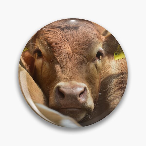 Item preview, Beef in the herd designed and sold by Glineur.