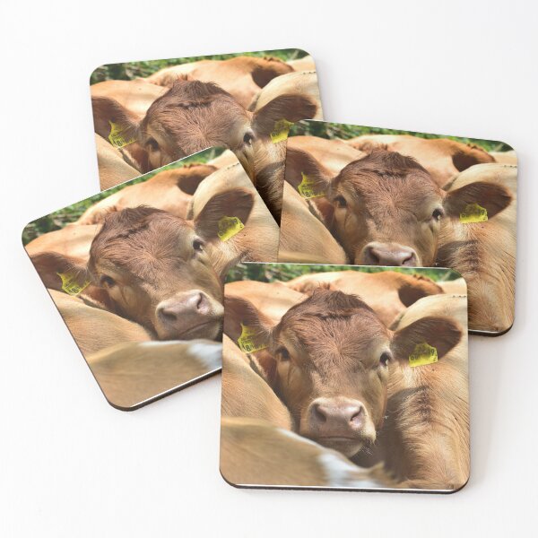 Item preview, Beef in the herd designed and sold by Glineur.