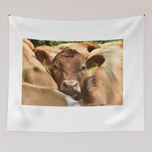Item preview, Beef in the herd designed and sold by Glineur.