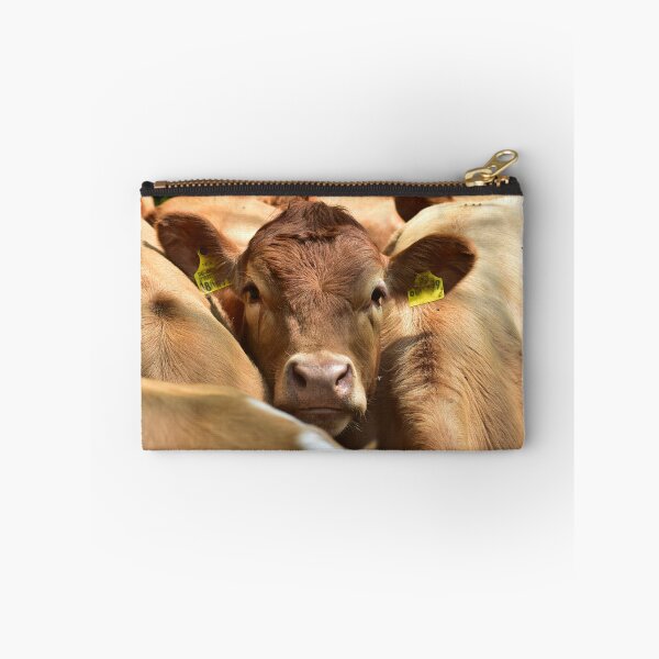 Item preview, Beef in the herd designed and sold by Glineur.