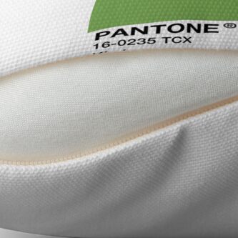 Alternate view of PANTONE Kiwi - Green Floor Pillow