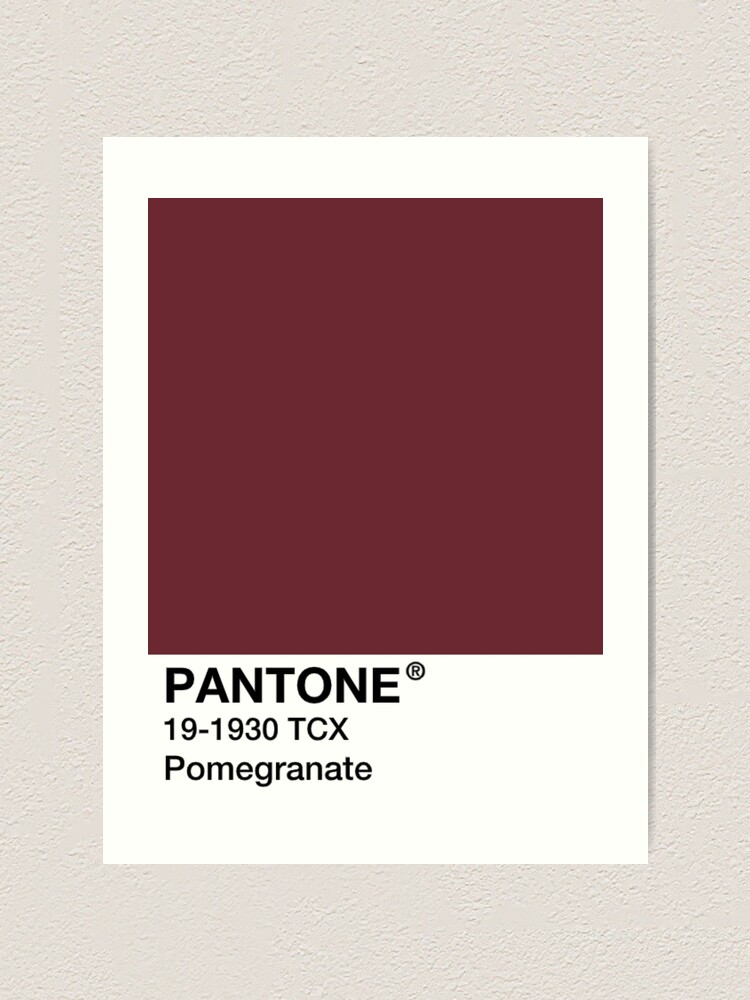 Pantone Pomegranate Red Maroon Art Print By Mushroom Gorge Redbubble