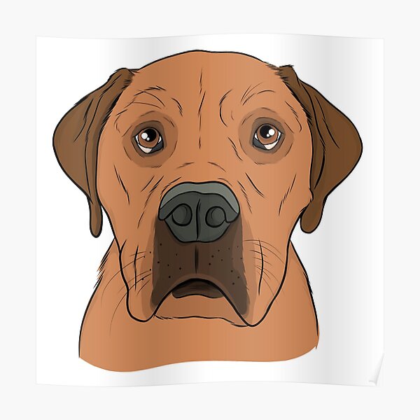 Decoracion Perro Mam C3 A1 Redbubble