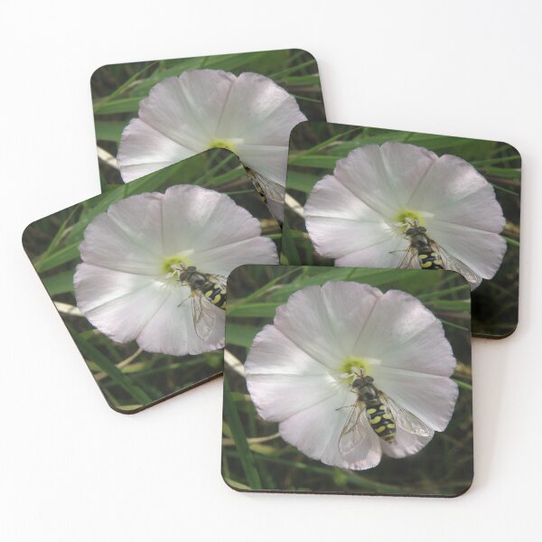 Item preview, Hoverfly and Pink Flower Feeding Time Photograph designed and sold by naturegallery.