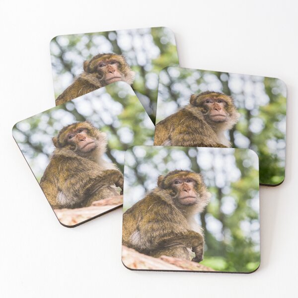 Item preview, Barbary macaque high up in a tree designed and sold by wellsie82.