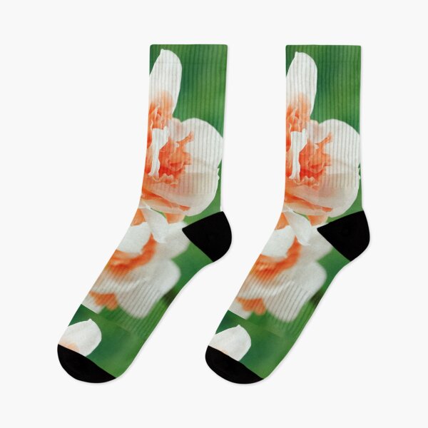 Item preview, Narcissus  'Replete'    Division 4 Double Daffodil designed and sold by Chris Burrows.
