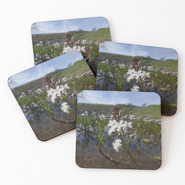 Item preview, Bogbean (Menyanthes trifoliata) designed and sold by IOMWildFlowers.