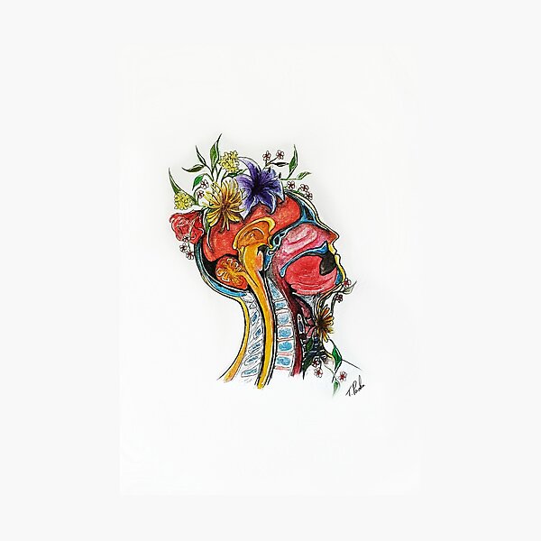 Botanical Anatomy Photographic Print