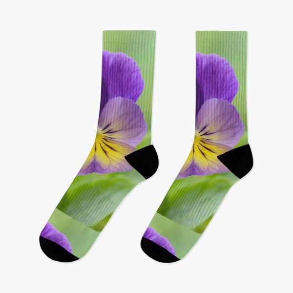 Item preview, Pansy Viola designed and sold by Chris Burrows.