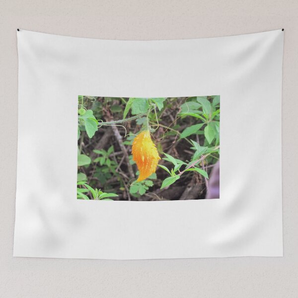 Item preview, Yellow Mormodica Balsamina Flower designed and sold by Mathilde GT.