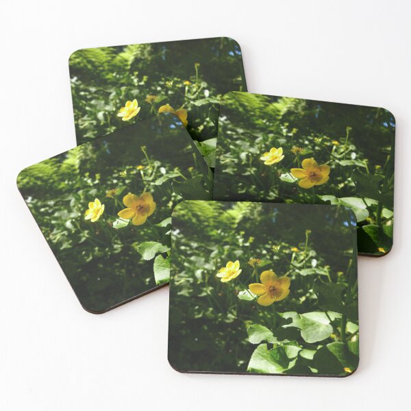 Item preview, Marsh Marigold (Caltha palustris) designed and sold by IOMWildFlowers.