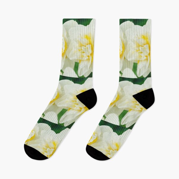 Item preview, Narcissus  'White Lion'  AGM   Division 4  Double Daffodil  designed and sold by Chris Burrows.