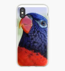 Regenbogen Lorikeet iPhone-Hülle & Cover