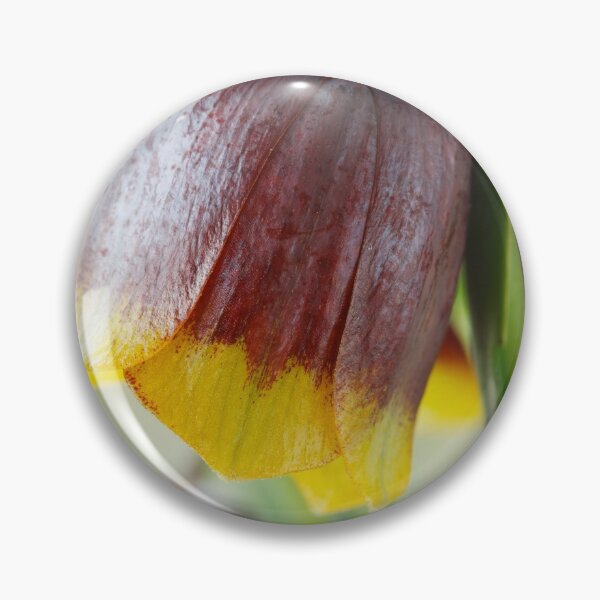 Item preview, Fritillaria michailovskyi   Michailovski fritillary  designed and sold by Chris Burrows.