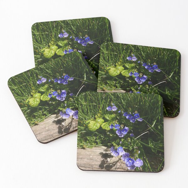 Item preview, Germander Speedwell (Veronica chamaedrys) designed and sold by IOMWildFlowers.