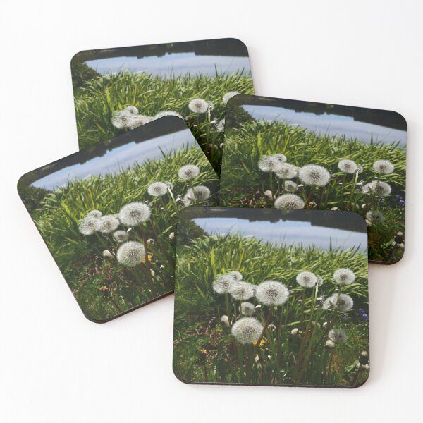 Item preview, Dandelion (Taraxacum officinale) designed and sold by IOMWildFlowers.