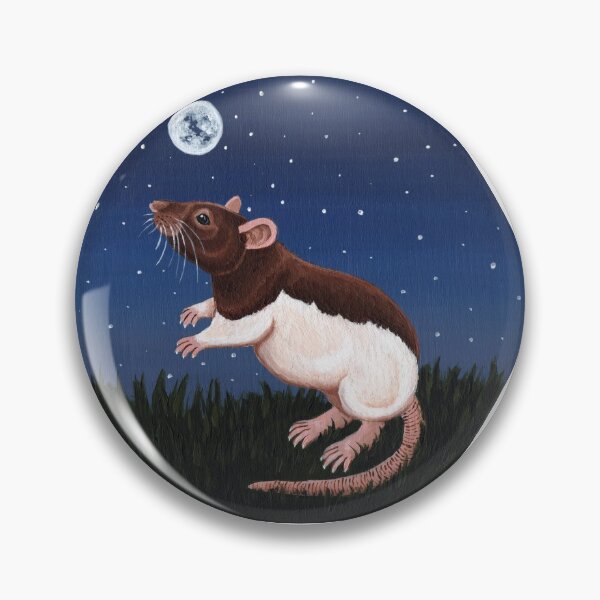 Item preview, Agouti Hooded Rat Stargazing designed and sold by WolfySilver.