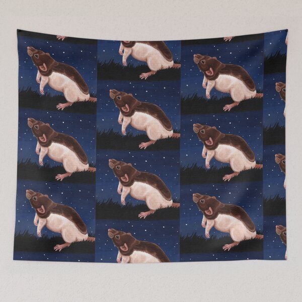 Artikelvorschau, Agouti Hooded Rat Stargazing entworfen und verkauft von WolfySilver.