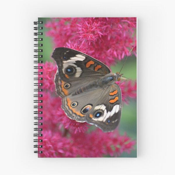 Item preview, The Buckeye Butterfly designed and sold by ReneeKennedy.