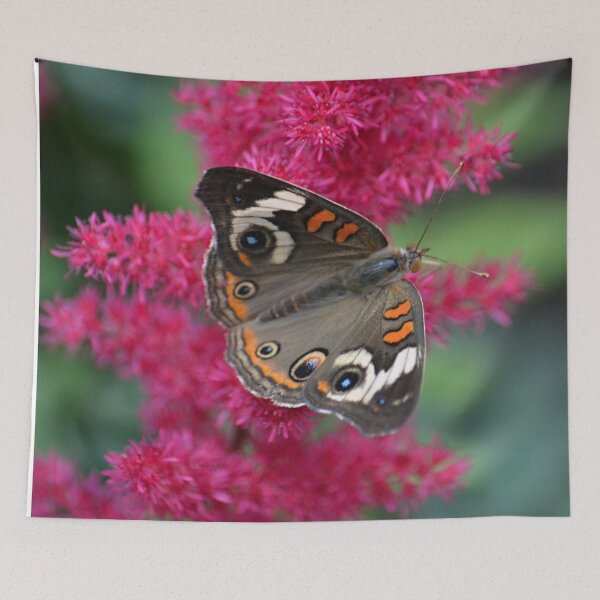 Item preview, The Buckeye Butterfly designed and sold by ReneeKennedy.