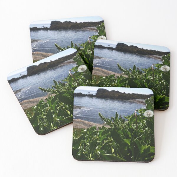 Item preview, Sea Beet (Beta maritima) designed and sold by IOMWildFlowers.