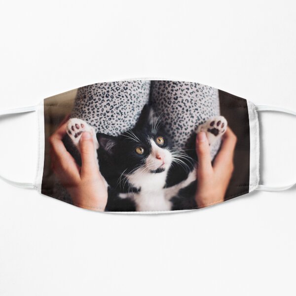 Cookie Cat,soft paws and wonderful eyes Flat Mask