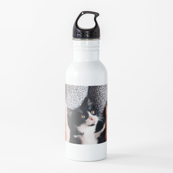 Cookie Cat,soft paws and wonderful eyes Water Bottle