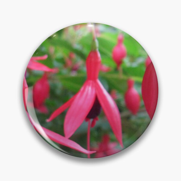 Item preview, Fuchsias Only - Challenge Winner Banner designed and sold by BlueMoonRose.