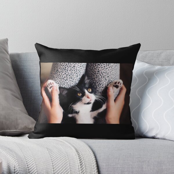 Cookie Cat,soft paws and wonderful eyes Throw Pillow