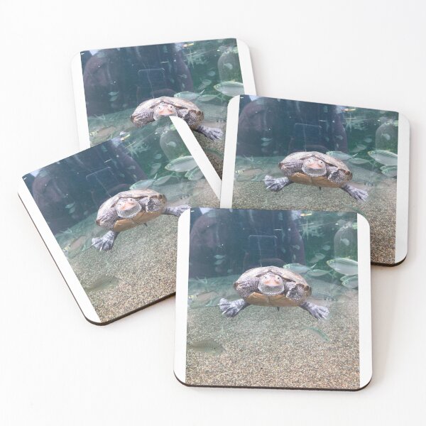 Item preview, Turtle Up Close designed and sold by schneidercf.