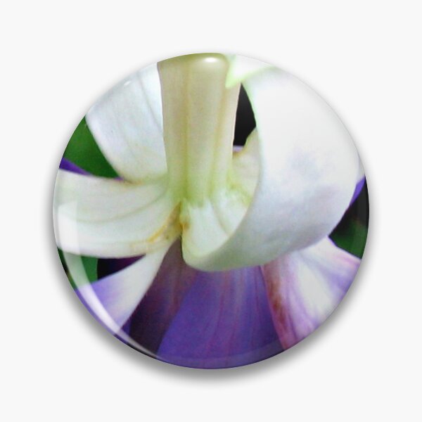Item preview, Fuchsias Only - Feature Banner designed and sold by BlueMoonRose.
