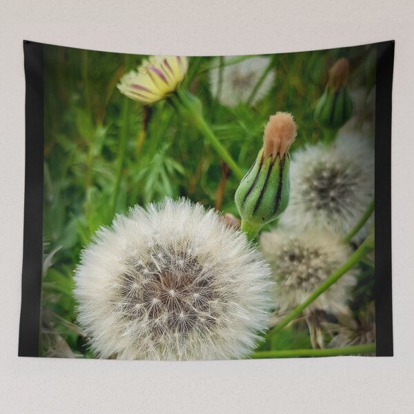 Item preview, Macro zebra dandelion poetry designed and sold by NatureNature.