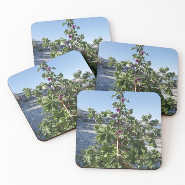 Item preview, Common Tree Mallow (Lavatera arborea) designed and sold by IOMWildFlowers.
