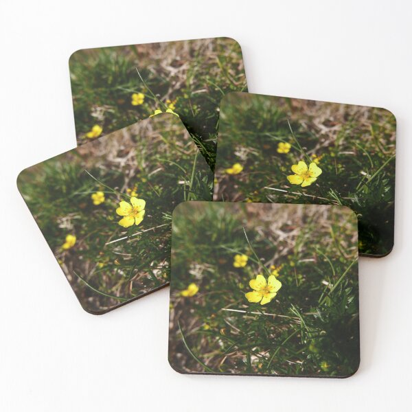 Item preview, Common Tormentil (Potentilla erecta) designed and sold by IOMWildFlowers.