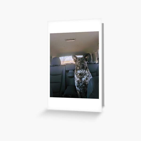 Sir Maximus Greeting Card